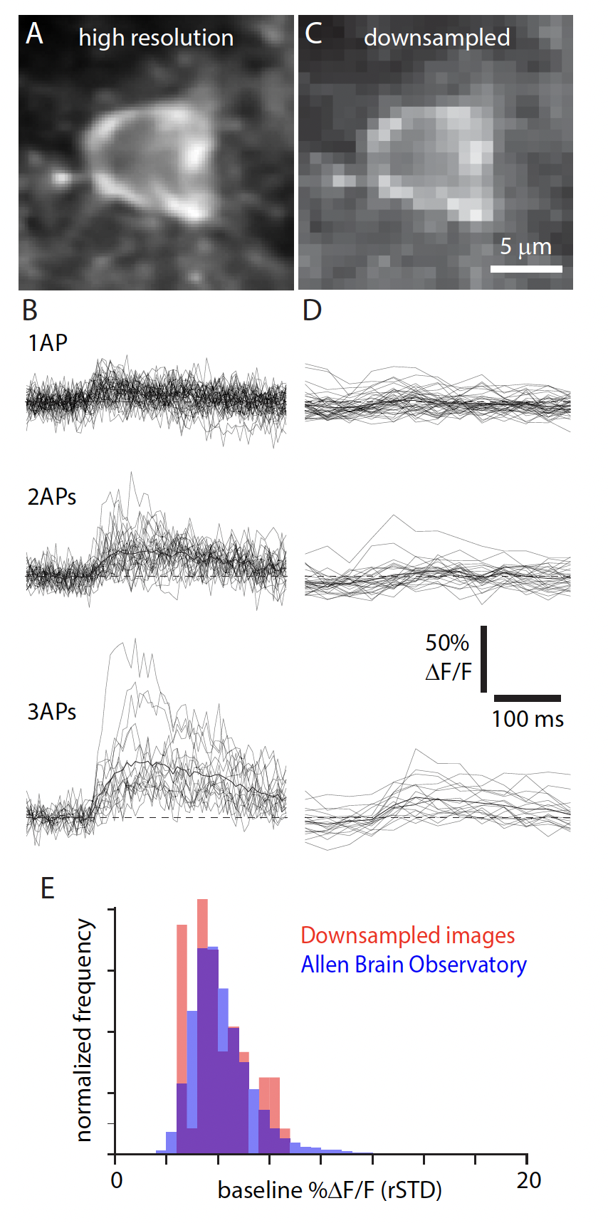 downsampling