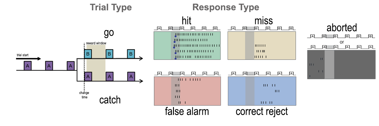 trial_types