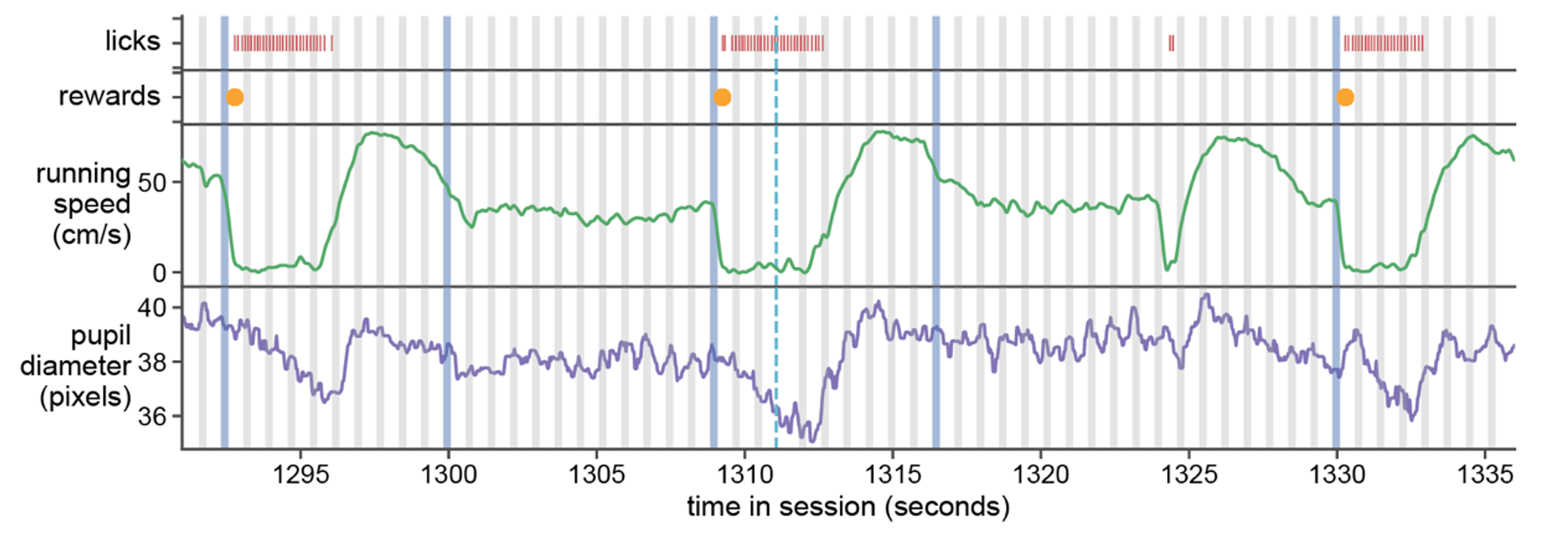 behavior_timeseries