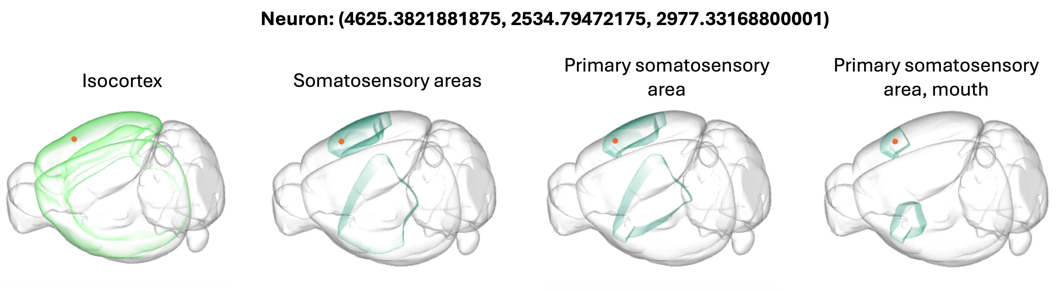../_images/ccf_cell_example.png
