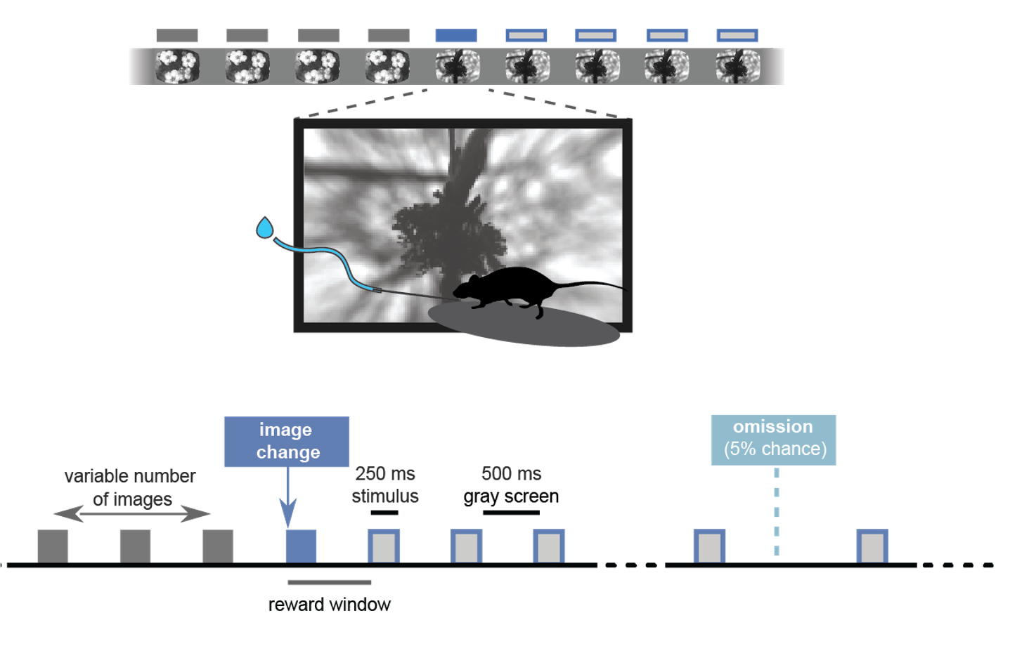 change_detection_task