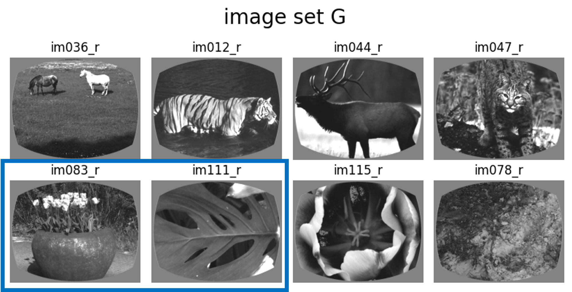 image_set_G