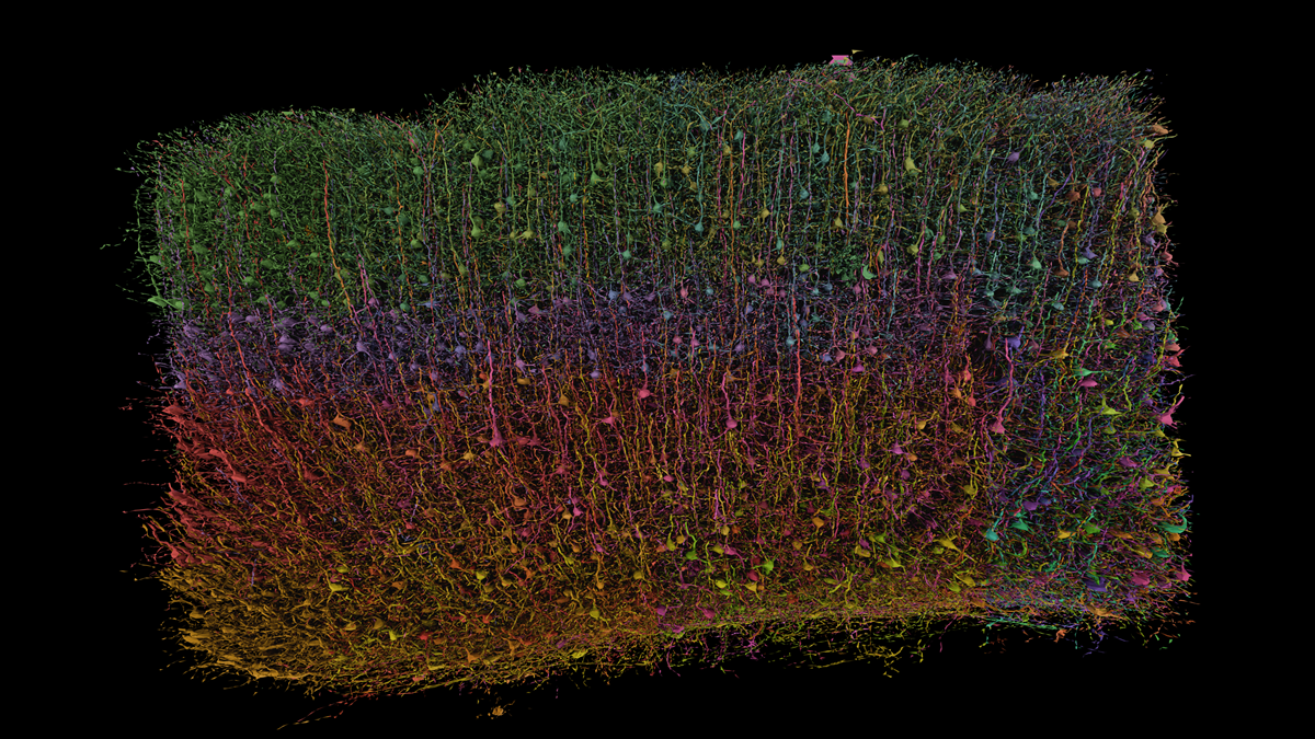 ../_images/microns_small_colorjitter.png