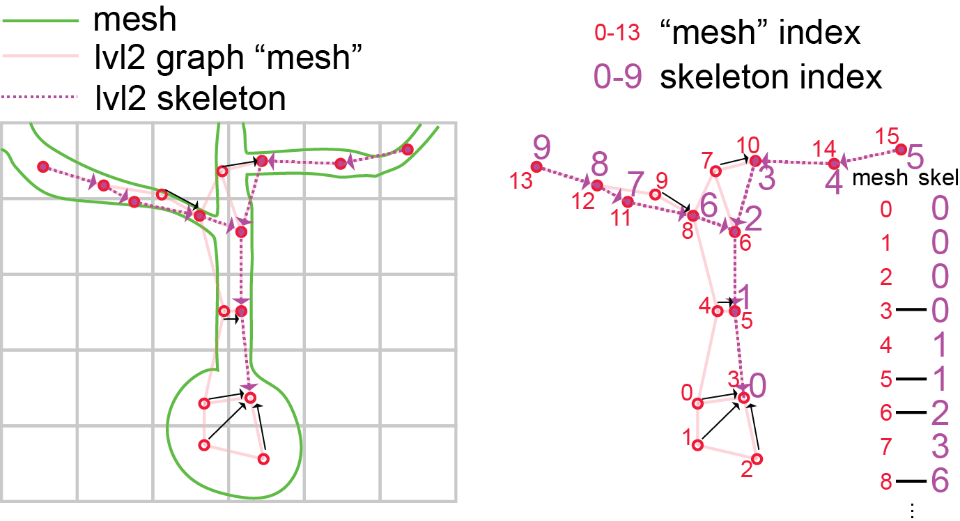 ../../_images/skeleton-cartoon.png