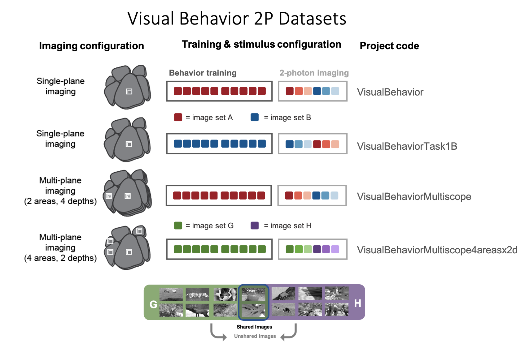 data_variants